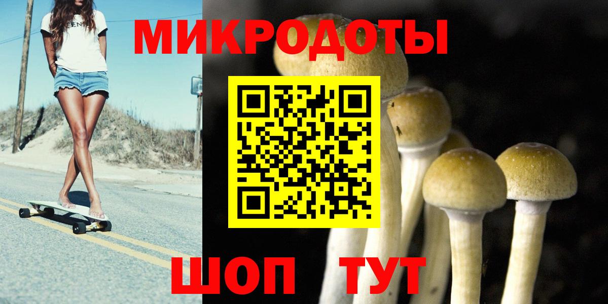 Кизилюрт  Галлюциногенные грибы MAGIC MUSHROOMS  Вход с VPN 